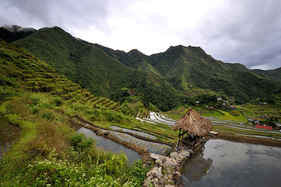 Batad Rice Terraces Photograph by Angelito De Jesus - Fine Art America