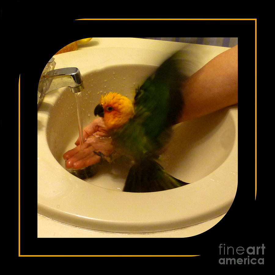 Bath Time Photograph by Renee Trenholm