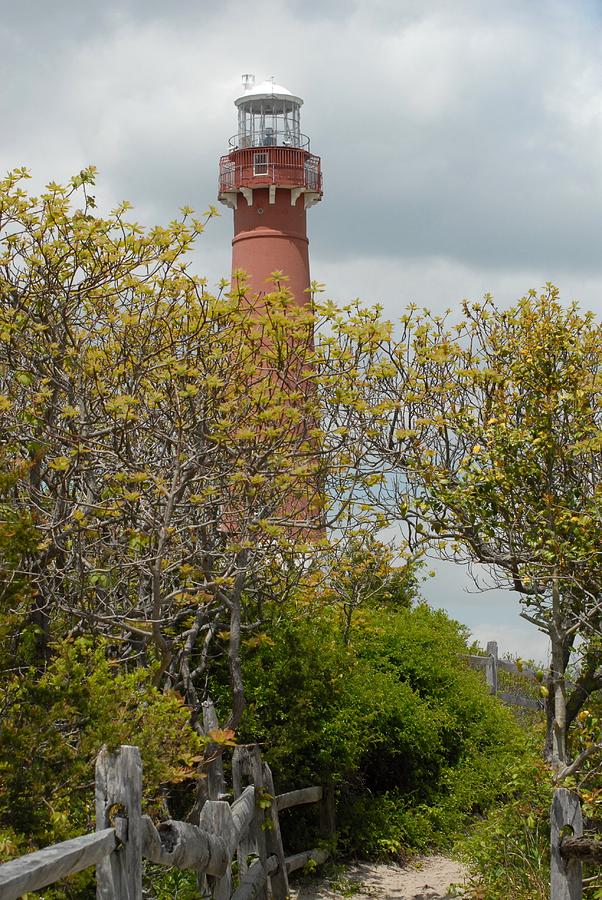 Batnegat Lighthouse 72 Photograph by Joyce StJames