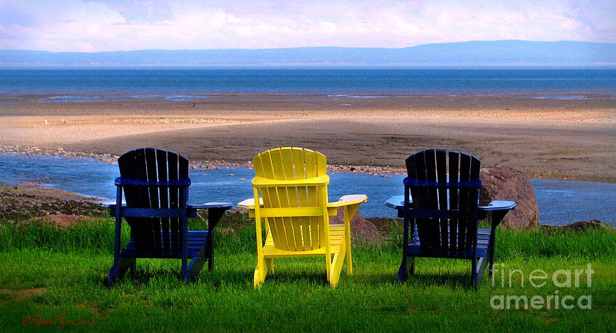 Bay of Fundy Chairs Photograph by Pat Davidson