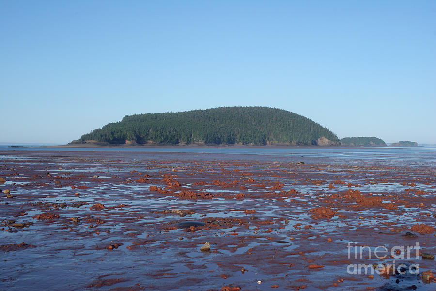 Bay Of Fundy Photograph by Ted Kinsman