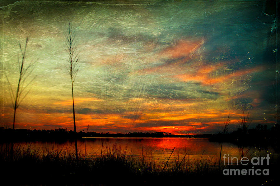 Sunset Photograph - Bayou Colors by Joan McCool