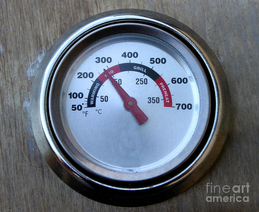 Summer Photograph - BBQ Thermometer by Henrik Lehnerer