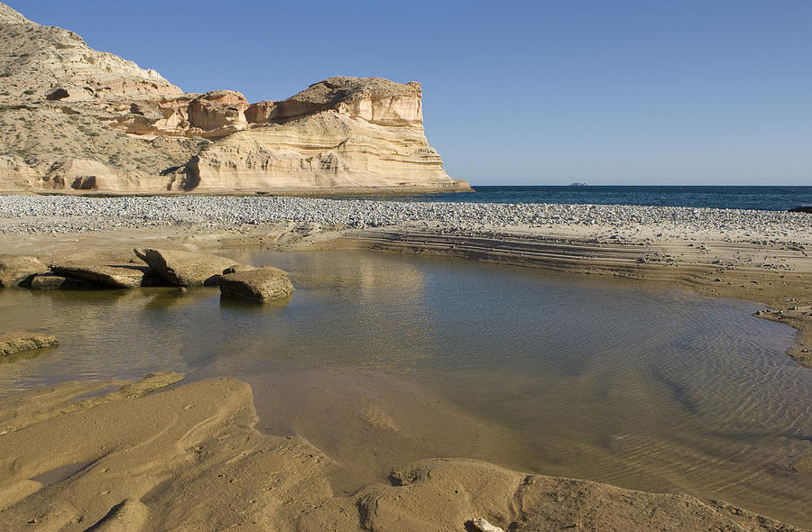 Beach And Cliff Sea Of Cortez Baja Photograph by Suzi Eszterhas