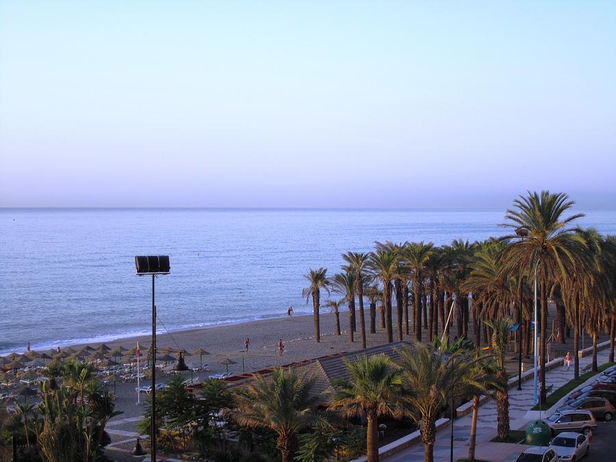 Beach and Palm Trees at Costa Del Sol Spain. Photograph by John Shiron