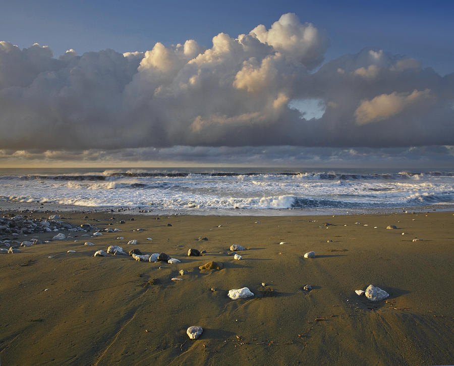 Beach And Waves Corcovado National Park Photograph by Tim Fitzharris
