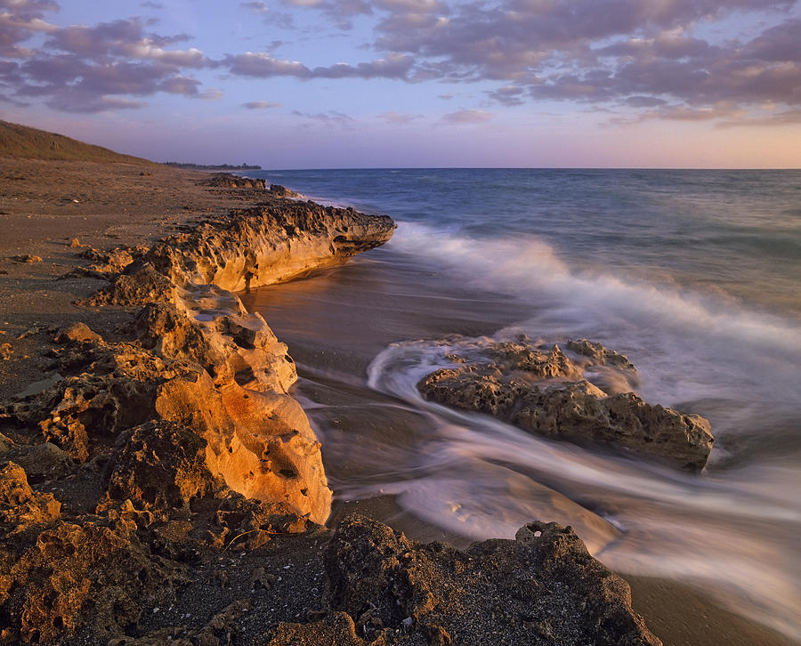 Beach At Dusk Blowing Rocks Preserve Photograph by Tim Fitzharris Beach At Dusk Blowing Rocks Preserve Photograph by Tim Fitzharris