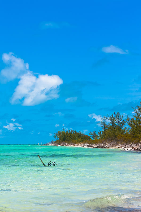 Beach At North Bimini by Ed Gleichman