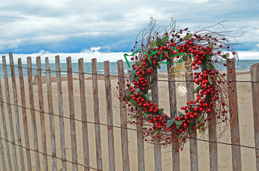 Sand Dollar Photograph - Beach Berry Wreath by Maria Dryfhout Sand Dollar Photograph - Beach Berry Wreath by Maria Dryfhout