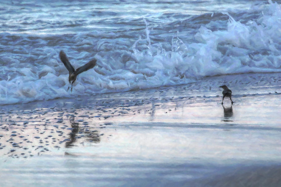 Bird Digital Art - Beach Birds in Blue by Randy Steele