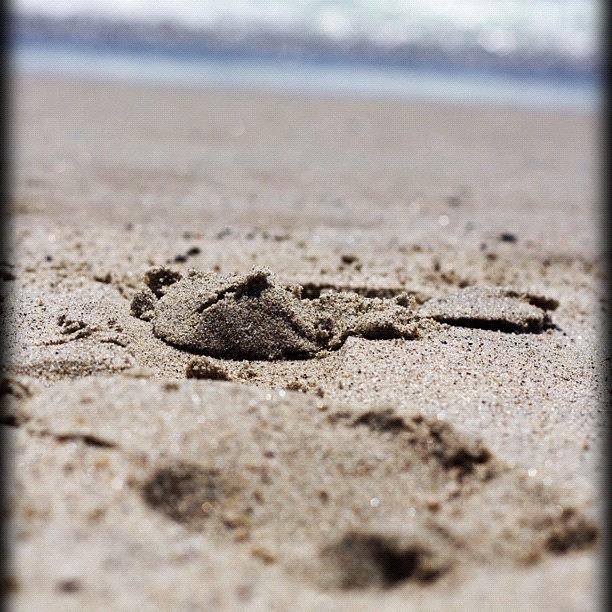 Beach Feet Photograph by Jessica Jones