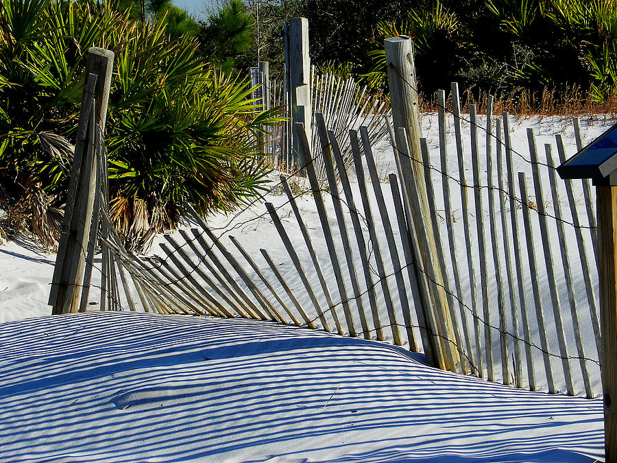 Beach Fence Photograph by Judy Wanamaker