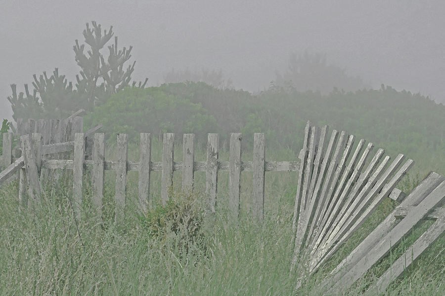 Beach Fog Photograph by Tom Singleton