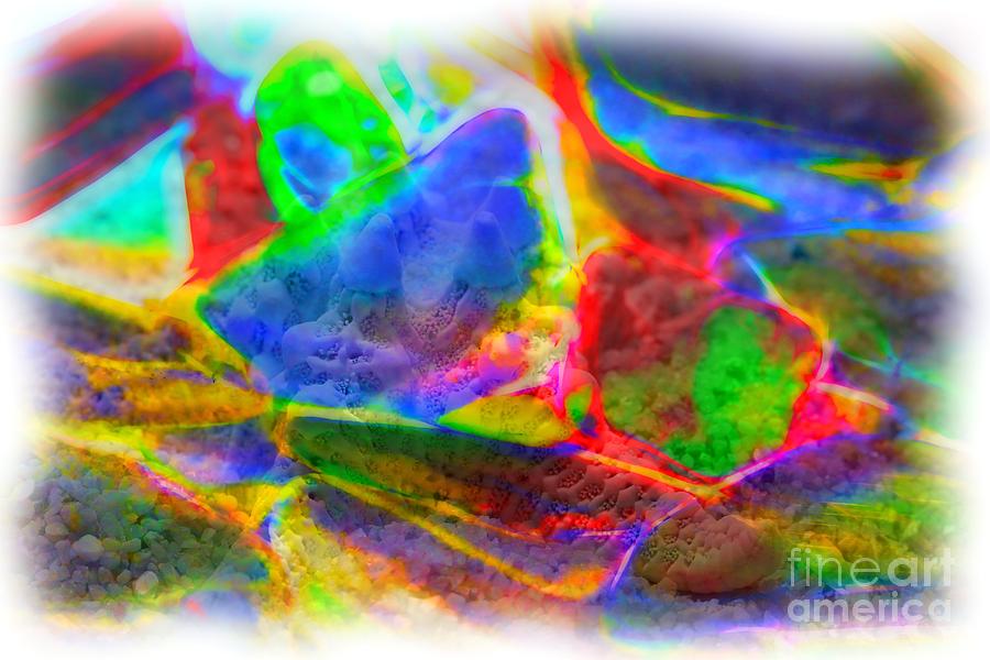 Beach Glass Abstract Photograph by Judi Bagwell