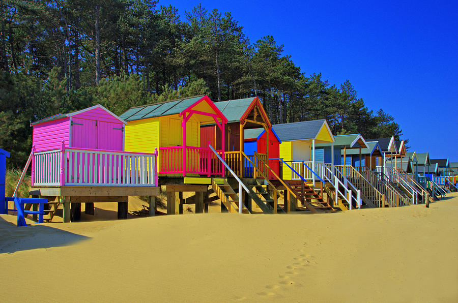 Beach Huts And Pine Trees 2 Photograph