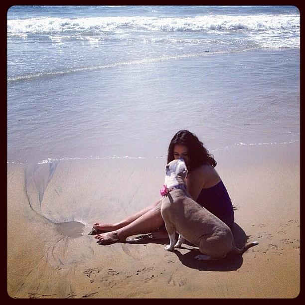 Beach Photograph - #beach #kisses #love #pitbull by Lala Baby