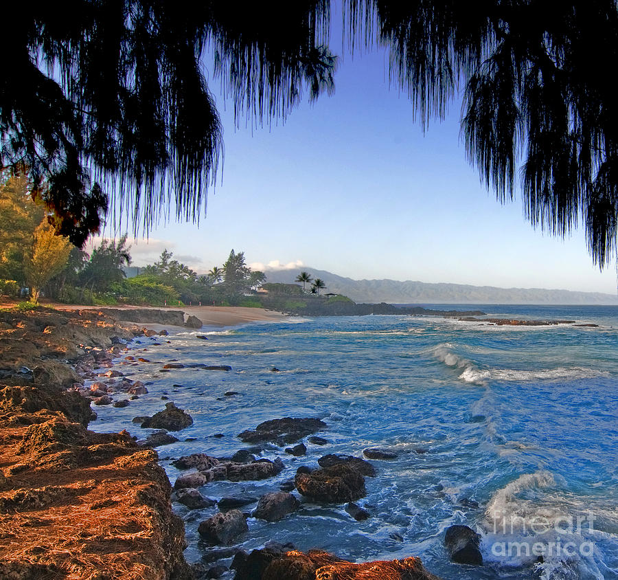 Beach on North Shore of Oahu Photograph by Gary Beeler