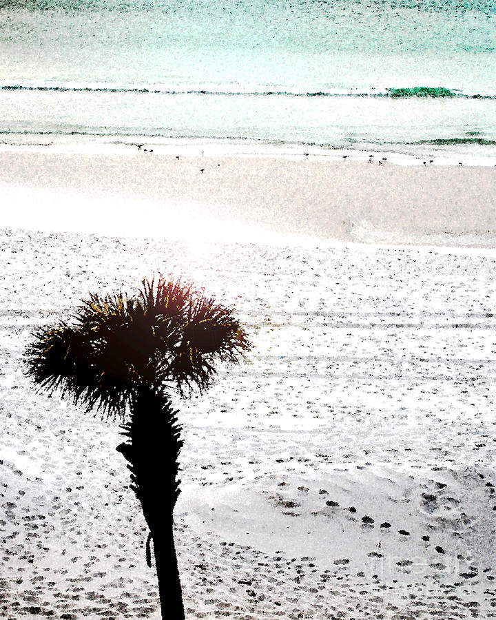 Beach Palm Digital Art by Lizi Beard-Ward