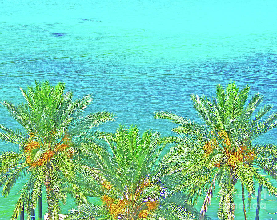 Beach Palms Digital Art by Lizi Beard-Ward