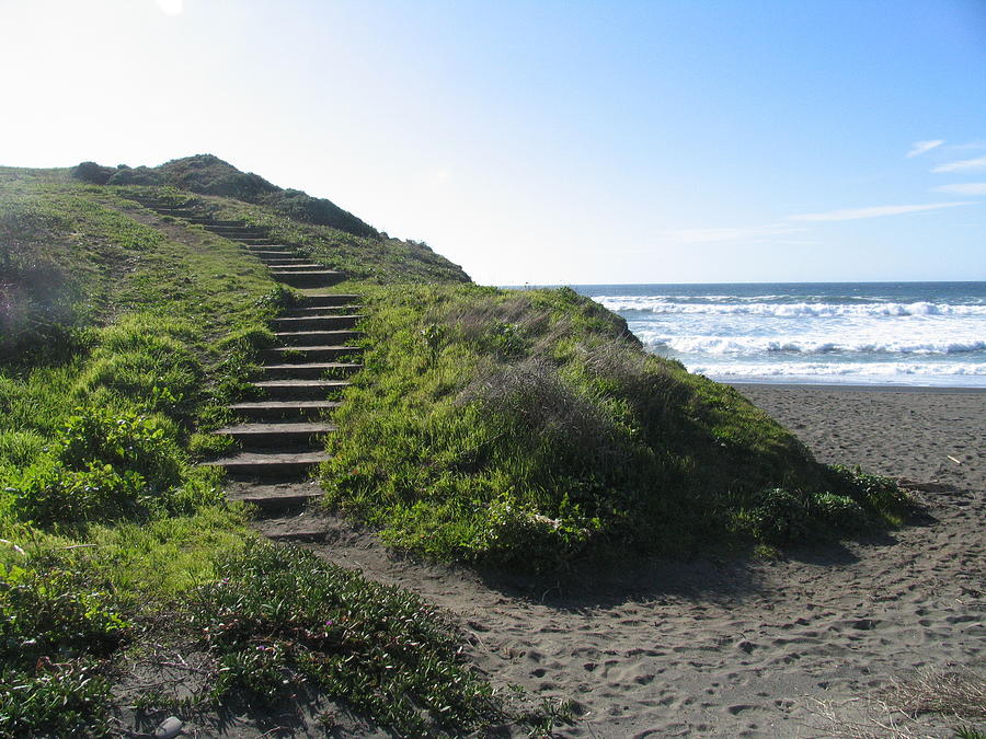 Beach staircase Photograph by Mark Norman