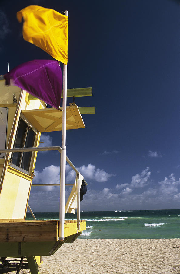 purple and yellow flags beach