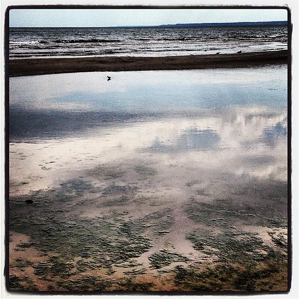 Beach Photograph - #beach #water #sand #seaweed #lake by Tanya B