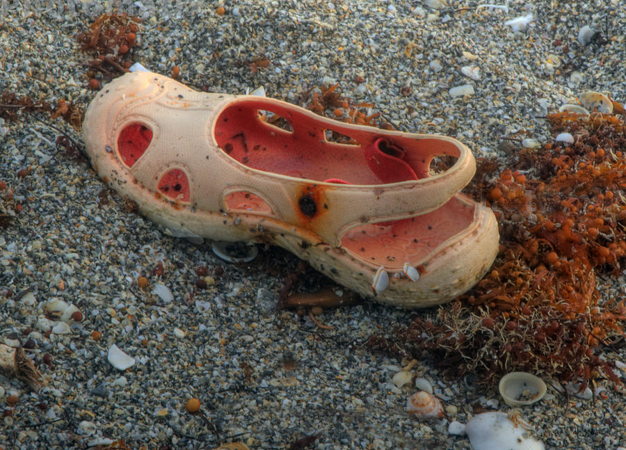 Beached Shoe Photograph