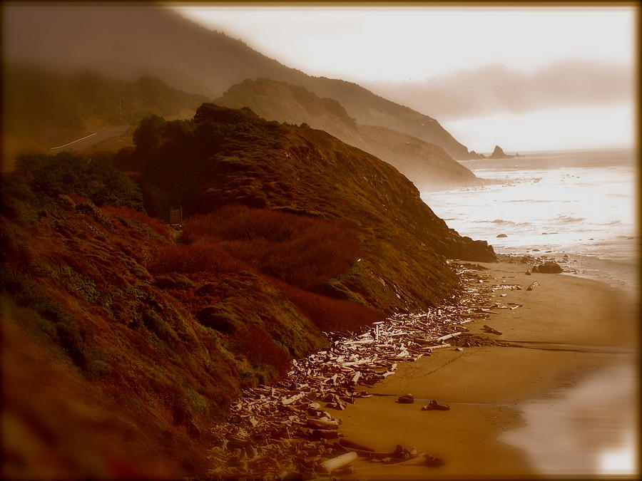Nature Photograph - Beaches by Amber Hennessey