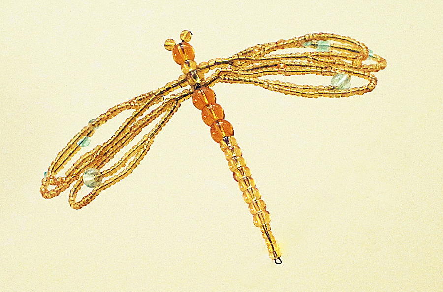Beaded Dragonfly Photograph by Life Makes Art