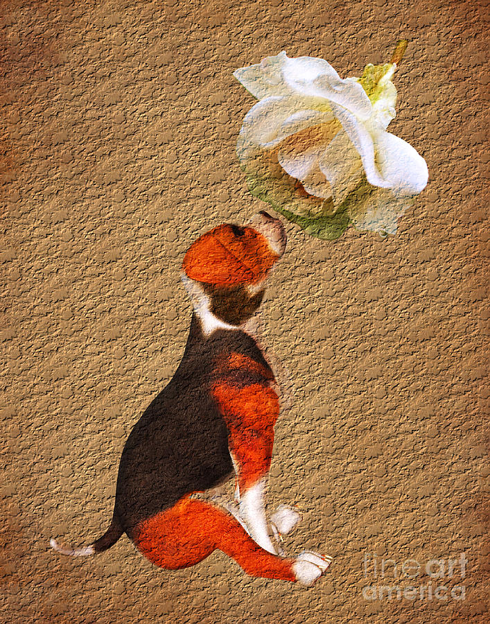 Beagle And Rose Digital Art by Smilin Eyes Treasures