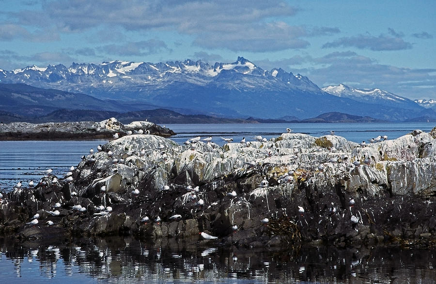 Beagle Channel - Tierra del Fuego Photograph by Juergen Weiss