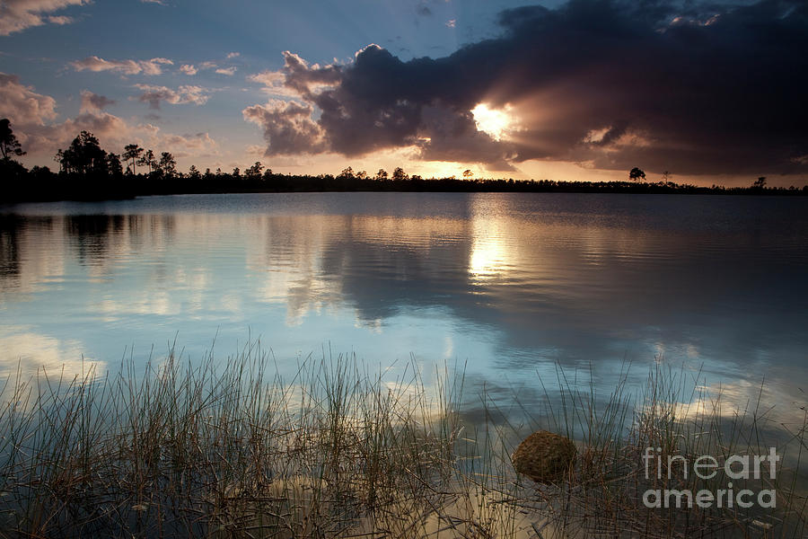 Everglades National Park Photograph - Beams of Light by Keith Kapple