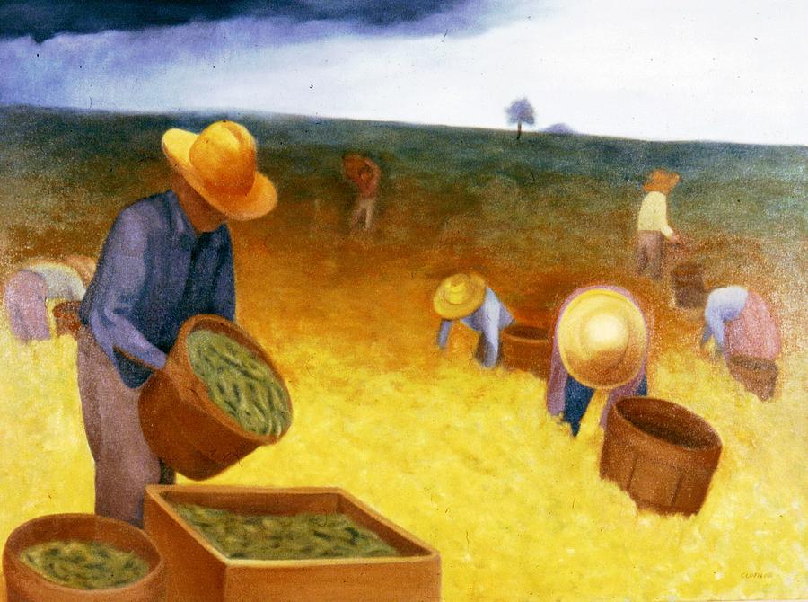 Bean Harvest Painting by Clotilde Espinosa