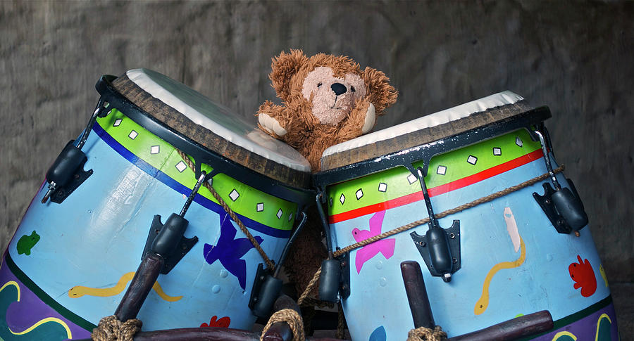 Bear and His Drums at Walt Disney World Photograph by Thomas Woolworth