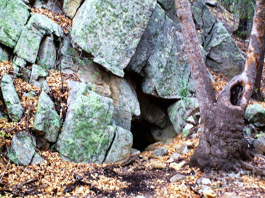 Bear Cave Photograph by Stanley Morganstein