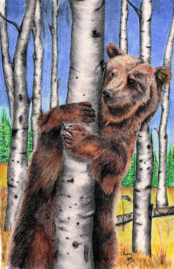 Bear Hugs Drawing by Russ Smith