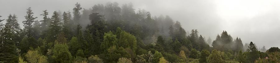Bear Mountain Misty Morning Photograph by Larry Darnell