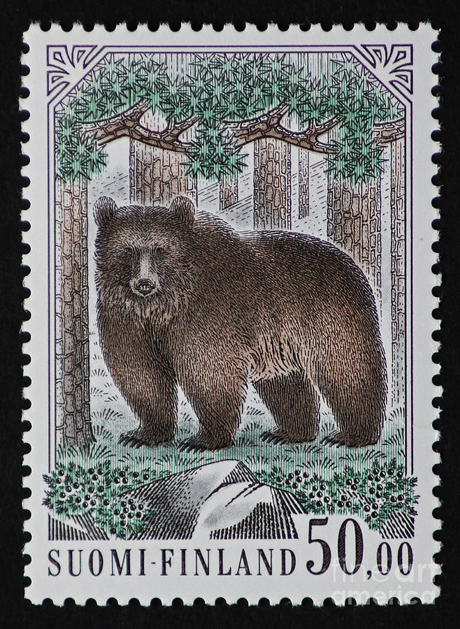 Bear Photograph - Bear Vintage Postage Stamp Print by Andy Prendy