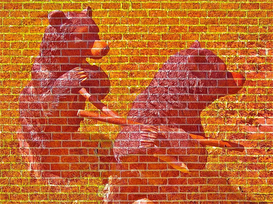 Bear Wall Photograph by Randy Rosenberger