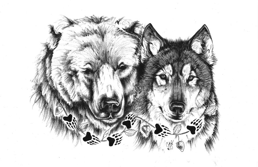 Bear Drawing - Bear/Wolf Family by Jordan Thompson