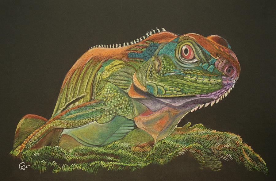 Wildlife Painting - Bearded Dragon by Stephanie L Carr