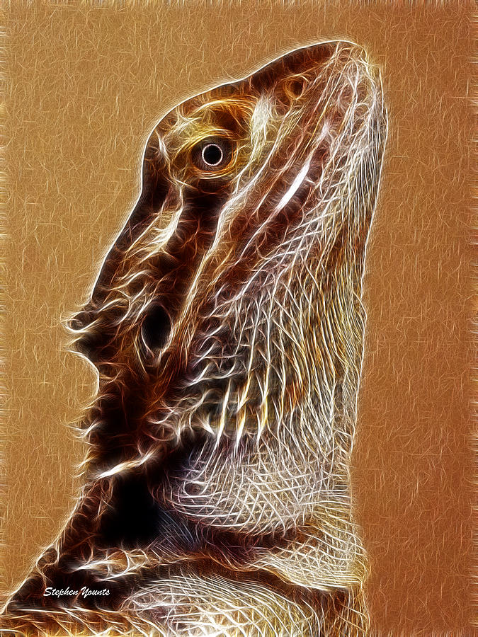 Bearded Dragon Digital Art by Stephen Younts