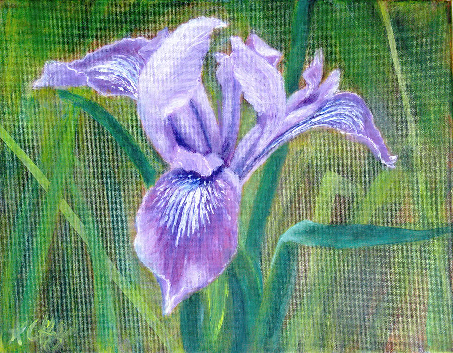 Bearded Iris Painting by KC Knight | Fine Art America