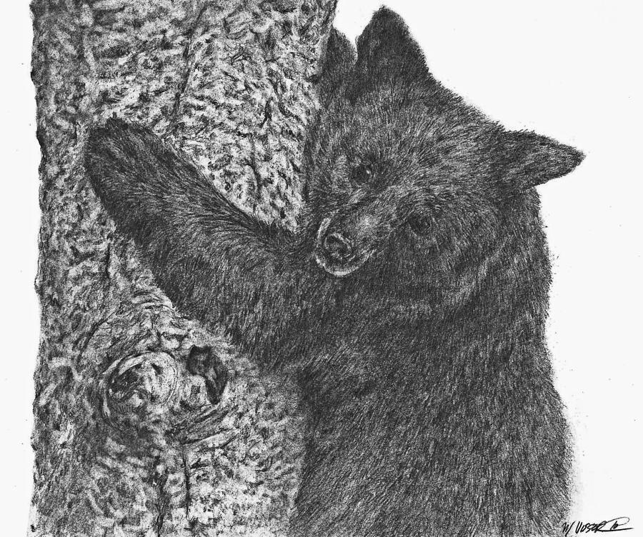 Wildlife Drawing - Bearly hangin on by Meagan  Visser