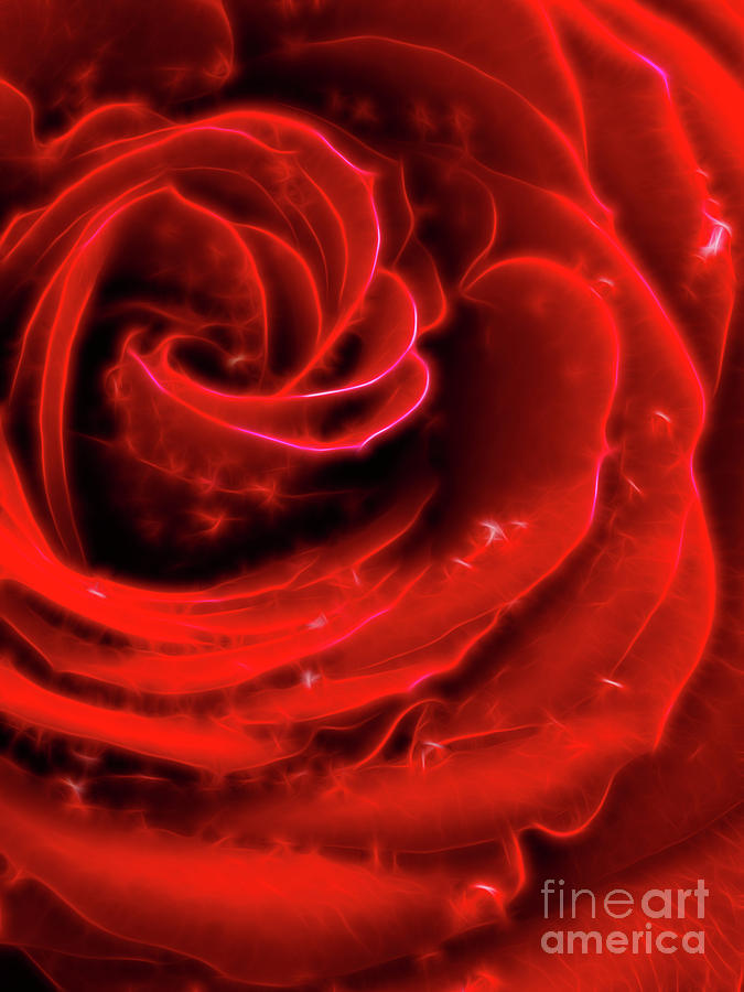 Beautiful Abstract Red Rose Photograph by Maxim Images Exquisite Prints