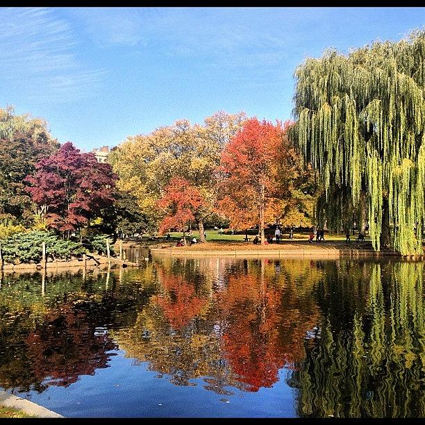 Boston Photograph - Beautiful Fall Colors On by Alan Khalfin
