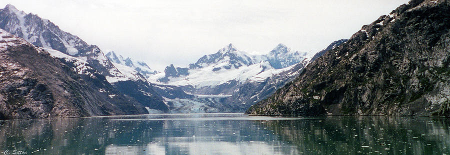 Beautiful Glacier Bay Photograph by C Sitton