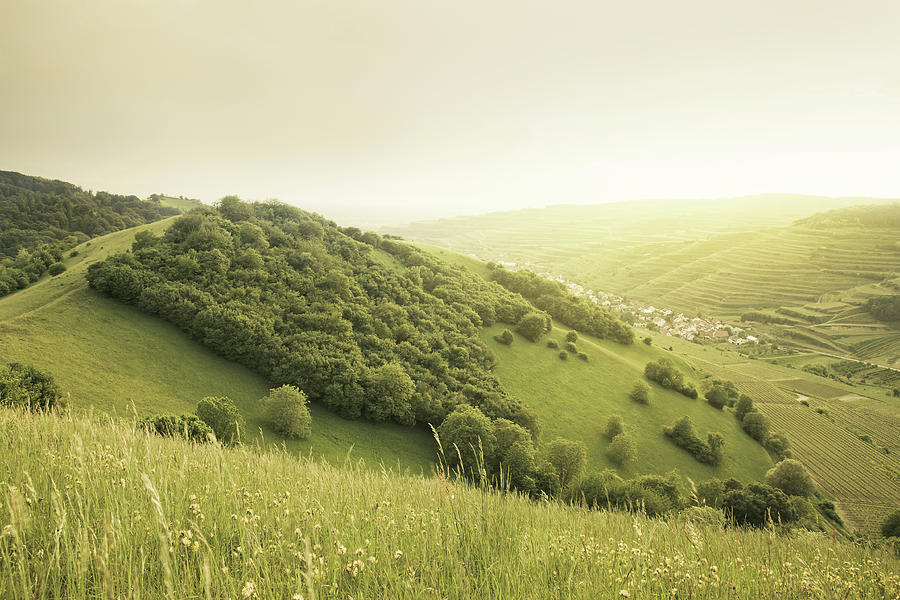 green hills green hills