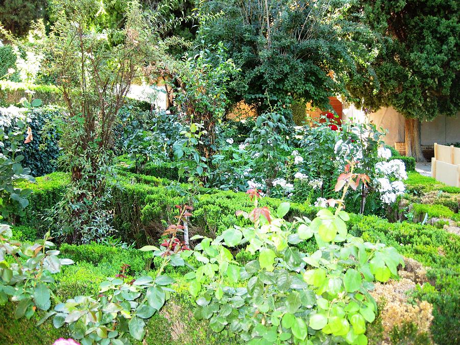 Beautiful Green Spanish Garden Granada Spain Photograph by John Shiron