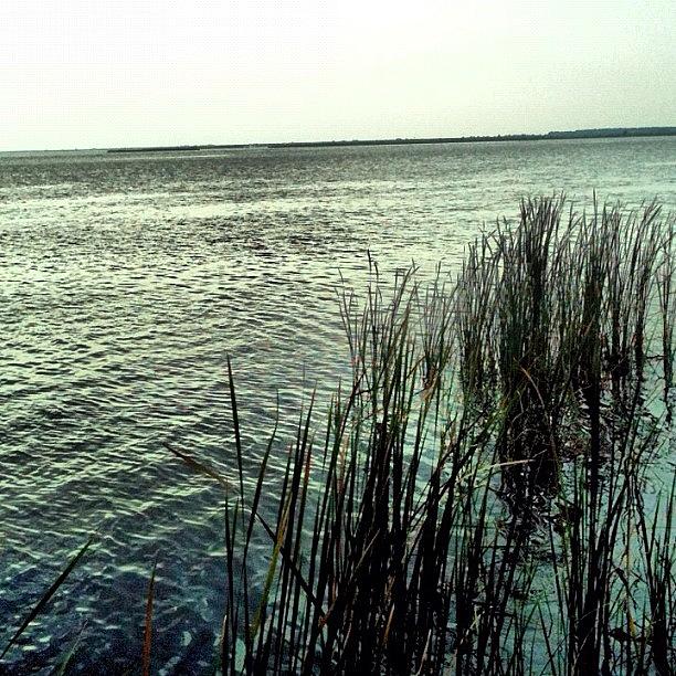 Beautiful Photograph - #beautiful #mobilebay #water #ig #igers by Seth Stringer